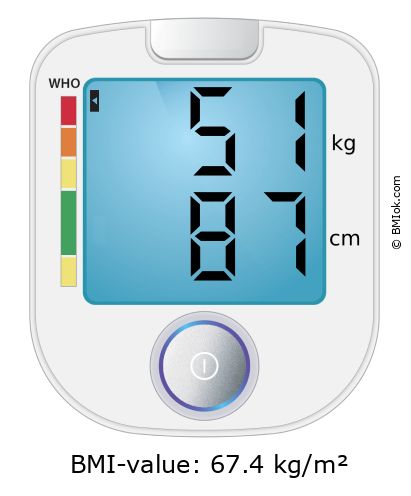 BMI 51 kg and 87 cm on the BMI calculator