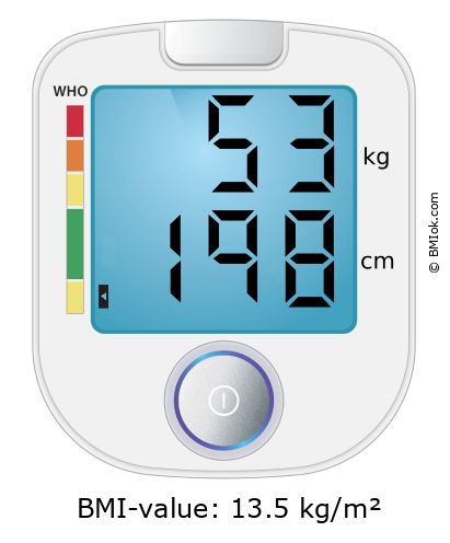 BMI 53 kg and 198 cm on the BMI calculator