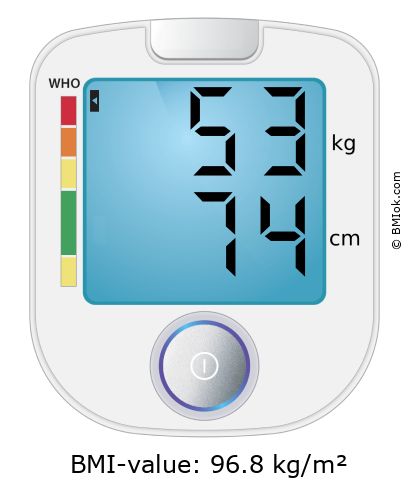 BMI 53 kg and 74 cm on the BMI calculator