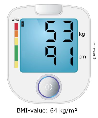 BMI 53 kg and 91 cm on the BMI calculator