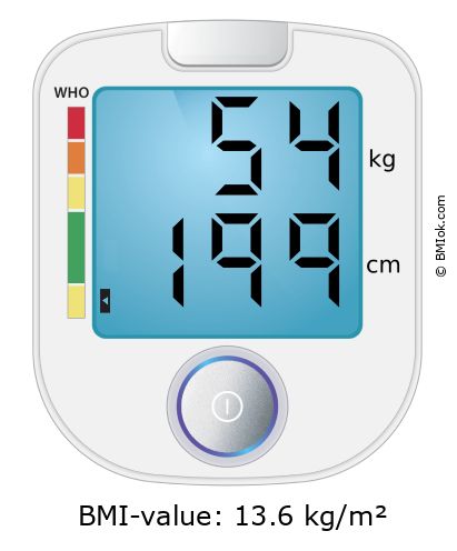 BMI 54 kg and 199 cm on the BMI calculator