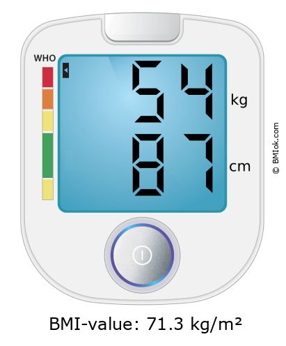 BMI 54 kg and 87 cm on the BMI calculator