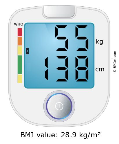 BMI 55 kg and 138 cm on the BMI calculator
