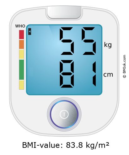 BMI 55 kg and 81 cm on the BMI calculator
