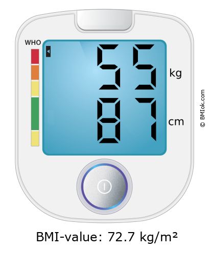 BMI 55 kg and 87 cm on the BMI calculator