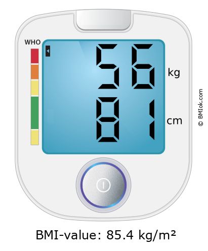 BMI 56 kg and 81 cm on the BMI calculator