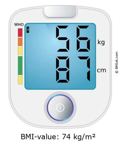 BMI 56 kg and 87 cm on the BMI calculator