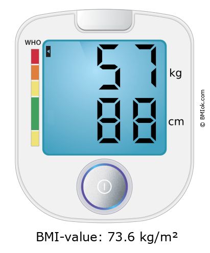 BMI 57 kg and 88 cm on the BMI calculator