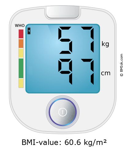 BMI 57 kg and 97 cm on the BMI calculator