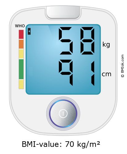BMI 58 kg and 91 cm on the BMI calculator