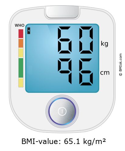 BMI 60 kg and 96 cm on the BMI calculator