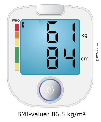 BMI 61 kg and 84 cm on the BMI calculator
