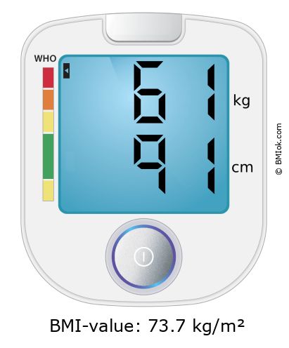 BMI 61 kg and 91 cm on the BMI calculator
