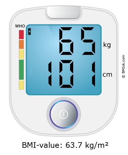 BMI 65 kg and 101 cm on the BMI calculator