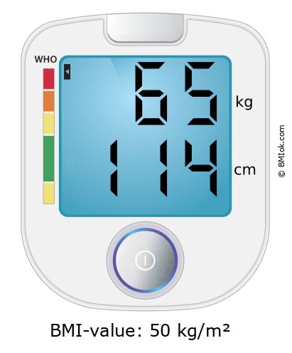 BMI 65 kg and 114 cm on the BMI calculator