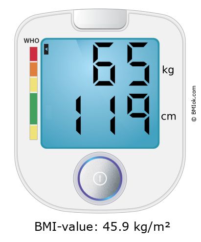BMI 65 kg and 119 cm on the BMI calculator