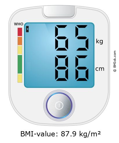 BMI 65 kg and 86 cm on the BMI calculator