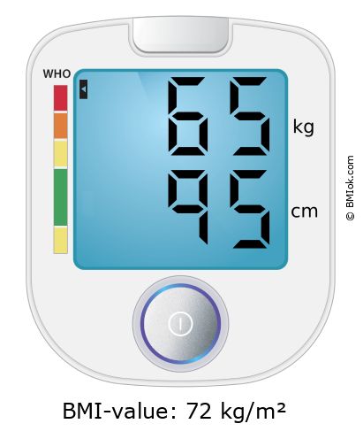 BMI 65 kg and 95 cm on the BMI calculator