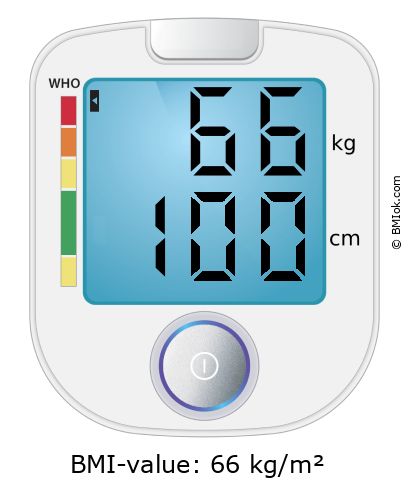 BMI 66 kg and 100 cm on the BMI calculator