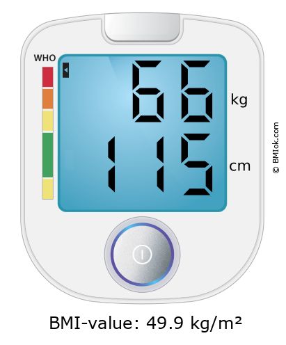 BMI 66 kg and 115 cm on the BMI calculator