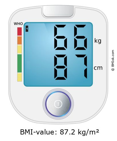 BMI 66 kg and 87 cm on the BMI calculator