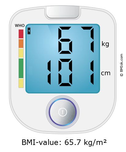 BMI 67 kg and 101 cm on the BMI calculator