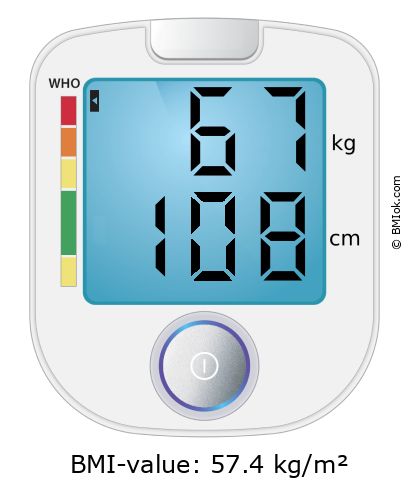 BMI 67 kg and 108 cm on the BMI calculator
