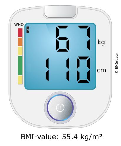 BMI 67 kg and 110 cm on the BMI calculator