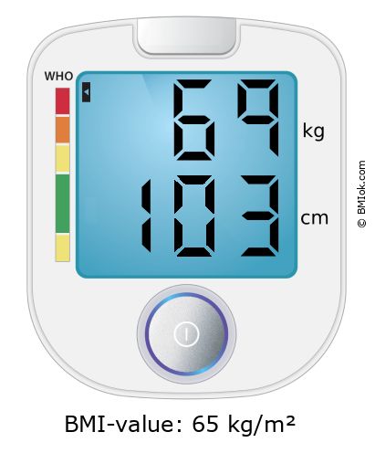 BMI 69 kg and 103 cm on the BMI calculator