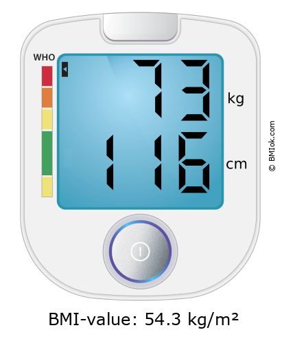 BMI 73 kg and 116 cm on the BMI calculator