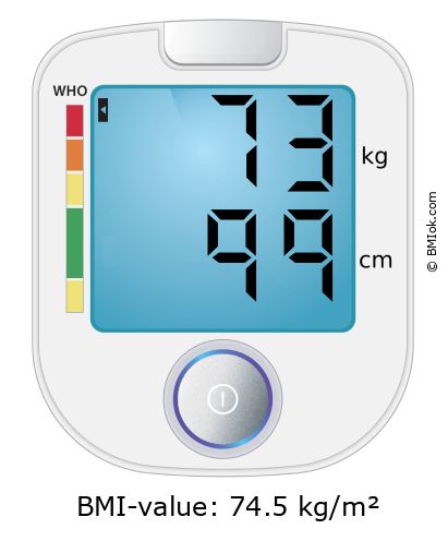 BMI 73 kg and 99 cm on the BMI calculator
