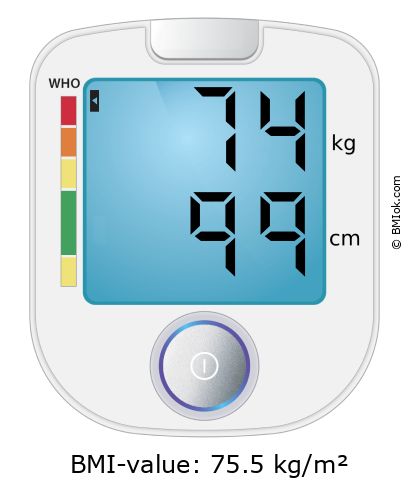 BMI 74 kg and 99 cm on the BMI calculator