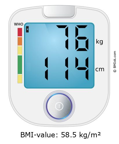 BMI 76 kg and 114 cm on the BMI calculator
