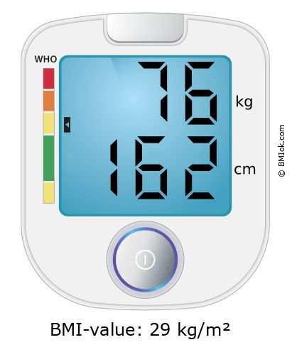 BMI 76 kg and 162 cm on the BMI calculator