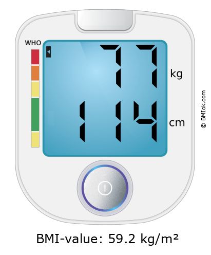 BMI 77 kg and 114 cm on the BMI calculator