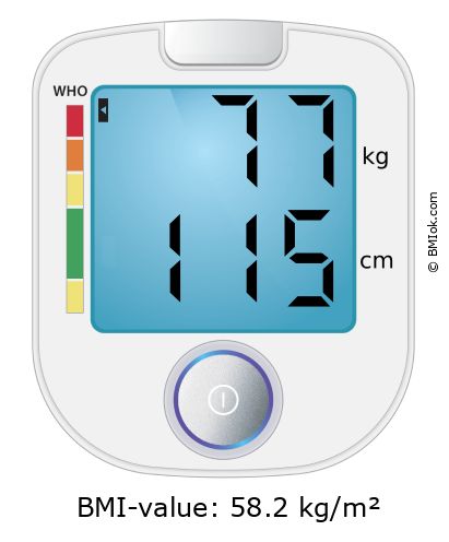 BMI 77 kg and 115 cm on the BMI calculator