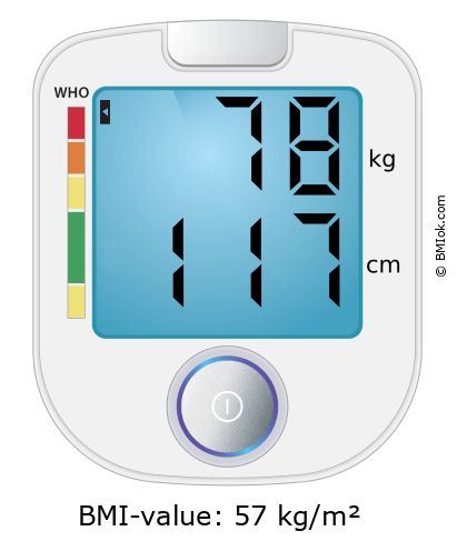 BMI 78 kg and 117 cm on the BMI calculator