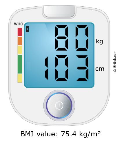 BMI 80 kg and 103 cm on the BMI calculator