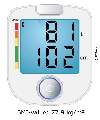 BMI 81 kg and 102 cm on the BMI calculator