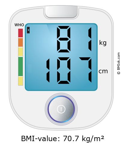 BMI 81 kg and 107 cm on the BMI calculator