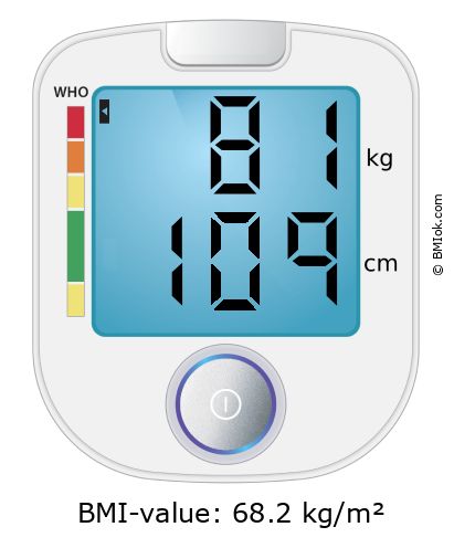 BMI 81 kg and 109 cm on the BMI calculator