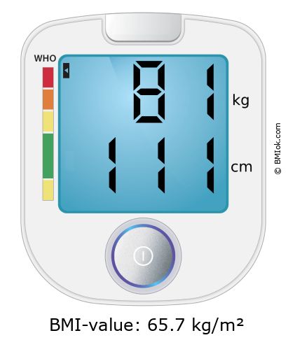 BMI 81 kg and 111 cm on the BMI calculator