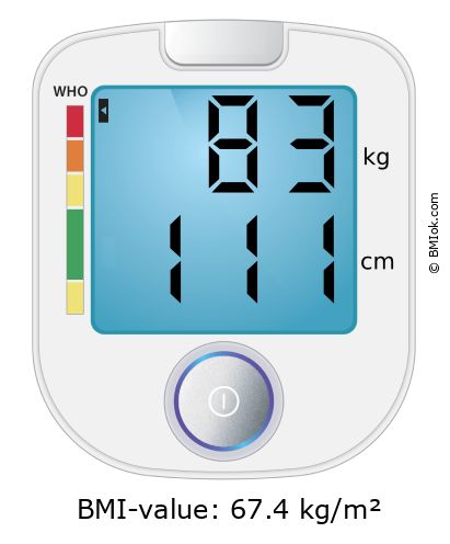 BMI 83 kg and 111 cm on the BMI calculator