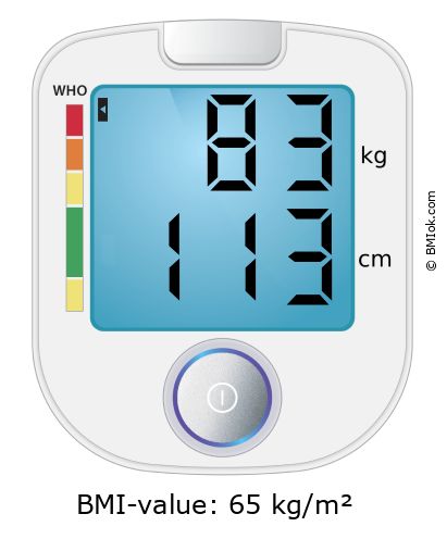 BMI 83 kg and 113 cm on the BMI calculator
