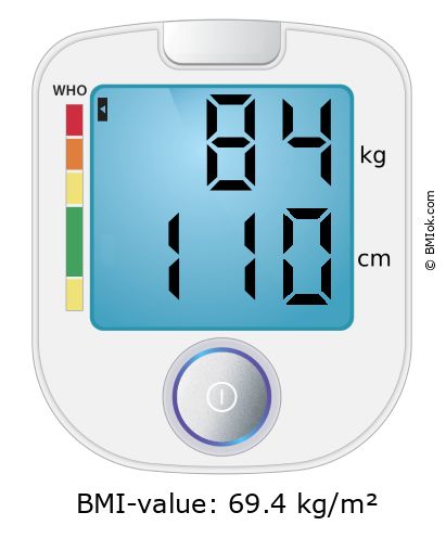 BMI 84 kg and 110 cm on the BMI calculator