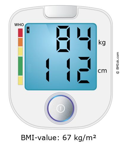 BMI 84 kg and 112 cm on the BMI calculator