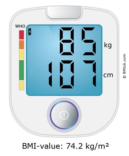 BMI 85 kg and 107 cm on the BMI calculator