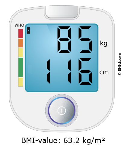 BMI 85 kg and 116 cm on the BMI calculator