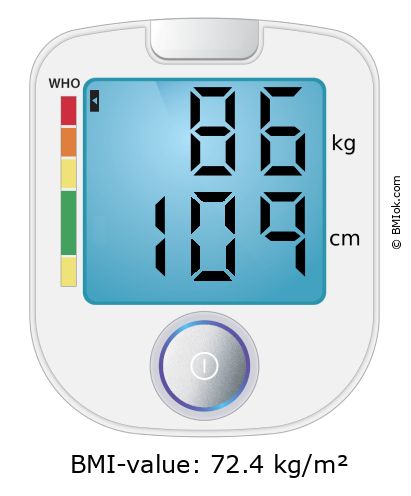 BMI 86 kg and 109 cm on the BMI calculator