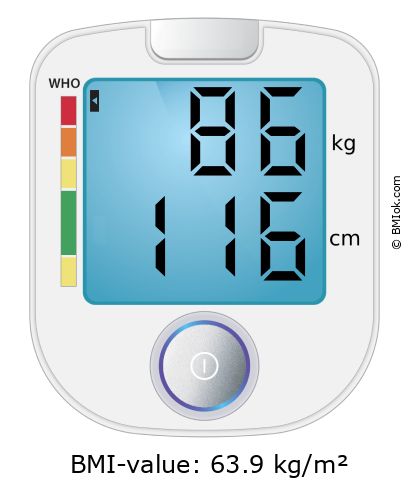BMI 86 kg and 116 cm on the BMI calculator